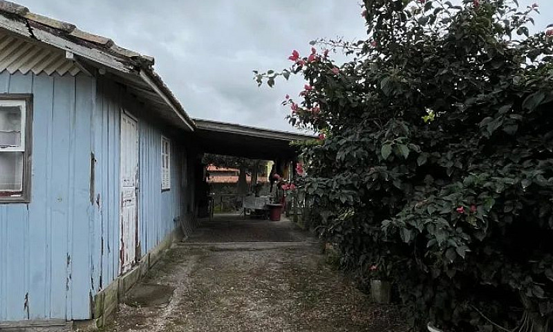 ? Oportunidade Em No...