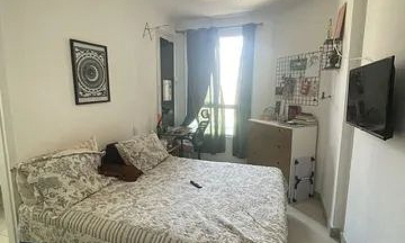 Alameda Residence #...