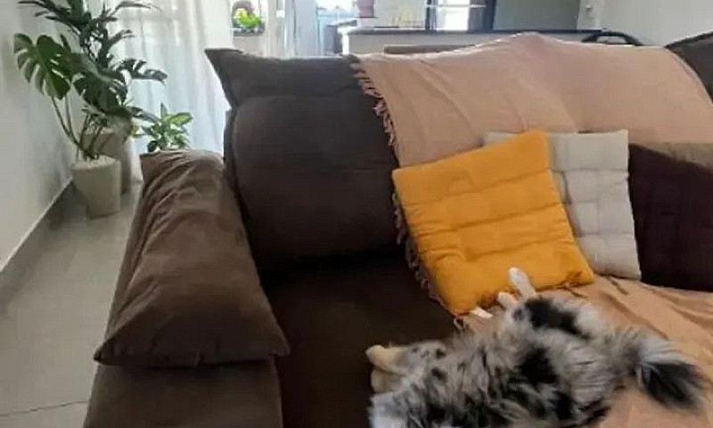 Apartamento Para Loc...