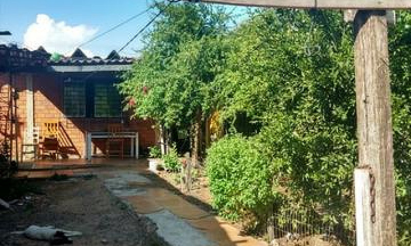 Casa Com 4 Dormitóri...