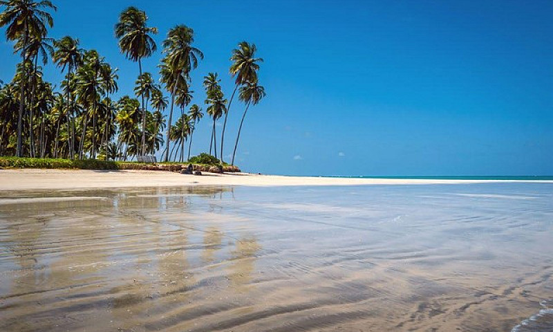 Apartamento Para Ven...