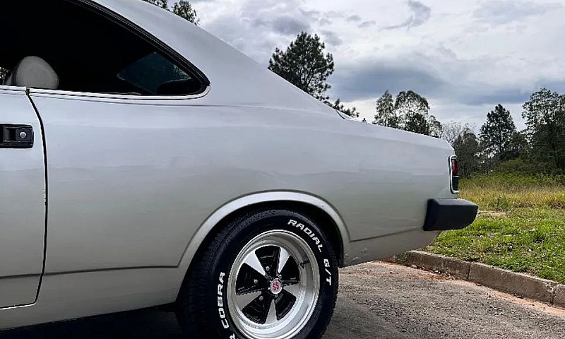 Opala Comodoro 6Cc 2...