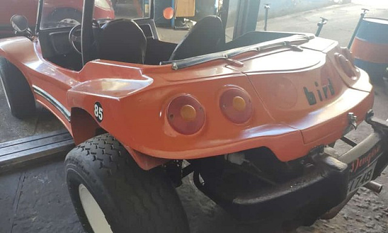 Buggy Bird...