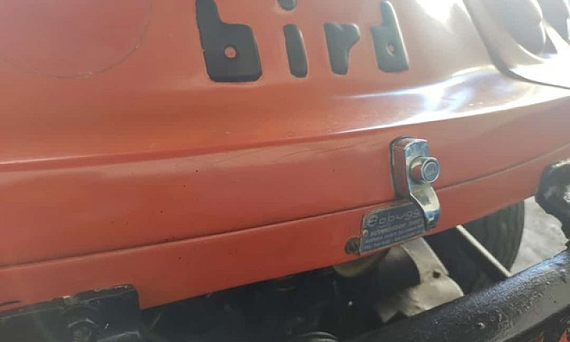 Buggy Bird...