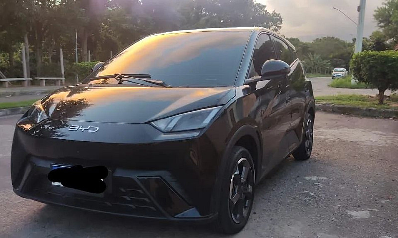 Byd Dolphin Mini (El...