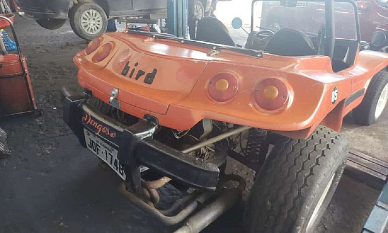 Buggy Bird...