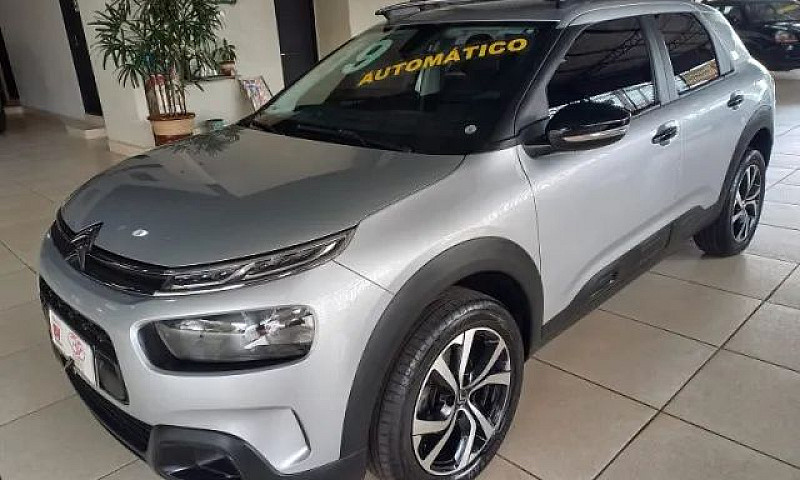 C4 Cactus Shine ...