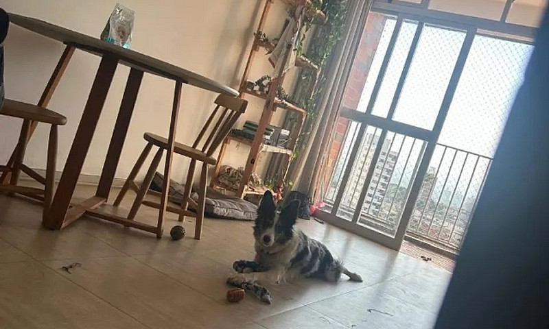 Vaga Em Apartamento ...