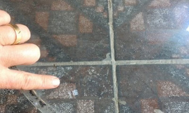 Para-Brisa E Vidros ...