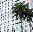 Apartamento Com 03 Quartos Sendo 01 Suíte