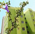 Apartamento 2 Dormitórios No Polvilho, Cajamar