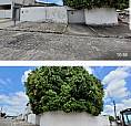 Casa Para Venda Com 100 Metros Quadrados Com 2 Quartos Em Funcionários - João Pessoa - Pb