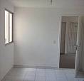 Apartamento No Condomínio Bosque Das Palmeiras