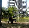 Dividir Aluguel No Jardim 1290