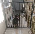 Vendo Ágio Ou Alugo Apartamento No Valparaíso Go 