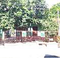 Porto Alegre - Casa Padrão - Vila Nova