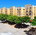 Apartamento Em Cidade Satélite (52 M², 2/4, Cond. Jardim Satélite, Taxas Inclusas)