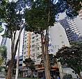 Avenida Barão Do Rio Branco, 3539 - 203 B