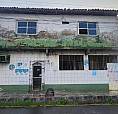 Vendo E Parcelo (Negociavel) Escola Na We 44 B Podendo Ser Transformada Em Casa 07 Salas.