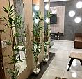 Apartamento Mobiliado2 Quartos Vicente Pires Tudo Incluso 