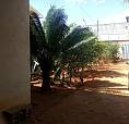 Casa No Santos Dumont