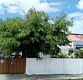 Casa No Bairro De Jaguaribe  Edificada Em Terreno Medindo 10X30,   Excelente Oportunidade!