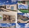 Alugo Apartamento Chapada Das Borboletas 