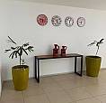 Apartamento Para Aluguel Possui 52 Metros Quadrados Com 2 Quartos