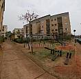 Apartamento Para Alugar Com 2 Dormitórios Cod:l6952