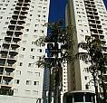 Apartamento Para Locação No Jardim Marajoara Com 2 Quartos