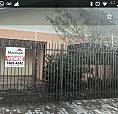Casa Linda Dultra Oportunidade
