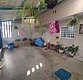 Casa À Venda Com 2 Dormitórios Em Samambaia Sul (Samambaia), Brasília Cod:reo553452