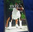 Celular Cubot X18 Plus