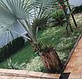 Casa 170Mt2 Suite E 2 Quartos 630.000,00