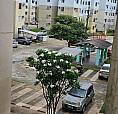@ Vendo Apartamento No Ideal Samambaia 