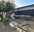 Casa - Jardim Nova Europa - Campinas