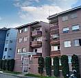 Apartamento No Costa E Silva Com 3 Quartos Para Locação, 53 M²