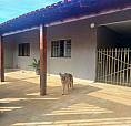 Casa A Venda No Jardim Antares Terreno 300 Metros