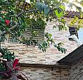 Alugo Casa Em Salgadinho Olinda 
