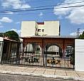 Reyson Pereira, Alugo Apartamento No Cond Monteiro Lobato, Santa Isabel.