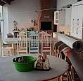 Casa Para Alugar Com 2 Dormitórios Em , Cod:37765