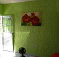 Casa À Venda, Jardim Columbia