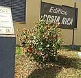 Apartamento À Venda Com 2 Dormitórios Em Presidente Dutra, Ribeirão Preto Cod:ap1578