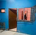 Alugo Casa No Bairro Jardim Paraíso 