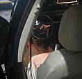 Volkswagen Jetta Comfortline 2.0 T.flex 8V 4P Tipt. 2016