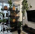 Apartamento À Aluguel Em Uberlândia