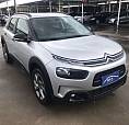 C4 Cactus