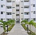 Excelente Apartamento De 2 Quartos No Geisel / Cuiá