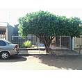 Locação Casa Campos Elíseos