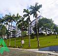 Ótimo Apartamento, No Bairro Nova Esperança!